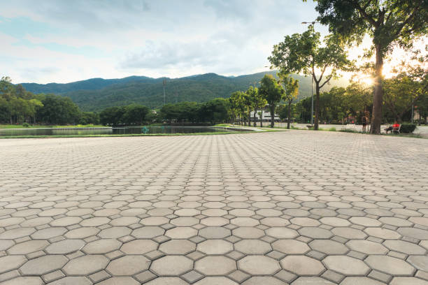 Best Local Driveway Pavers  in Santa Cruz, CA